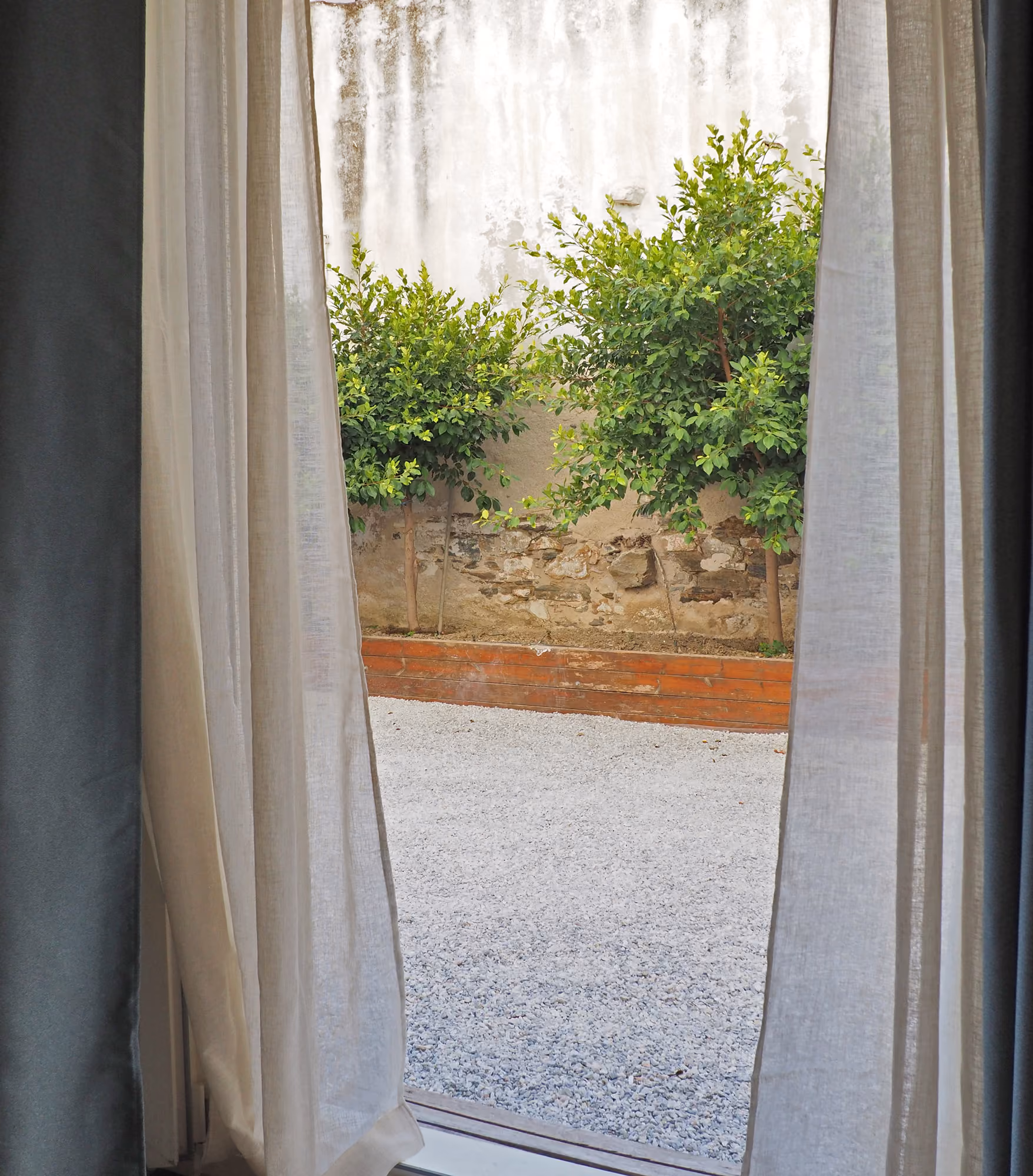View through sheer curtains of gravel ground, wooden planter, and two leafy green trees against a weathered wall.